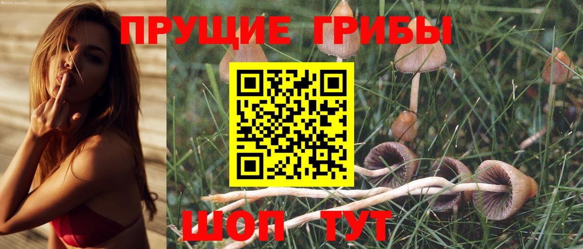 Галлюциногенные грибы мухоморы  Галлюциногенные грибы MAGIC MUSHROOMS  Елабуга  Вход с VPN 